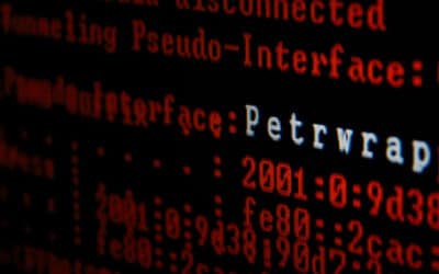 Emergent PetrWrap Variant Analyzed: Internet Propagation and Recovery of Non-NTFS Victims