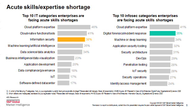 Chart demonstrating IT skills shortage