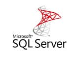 microsoft-sql-server-log